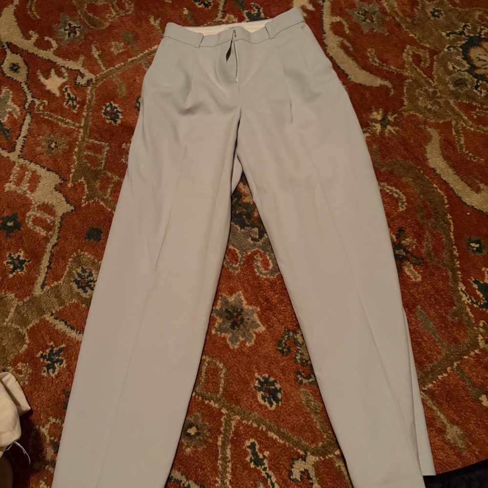 Aritzia babaton